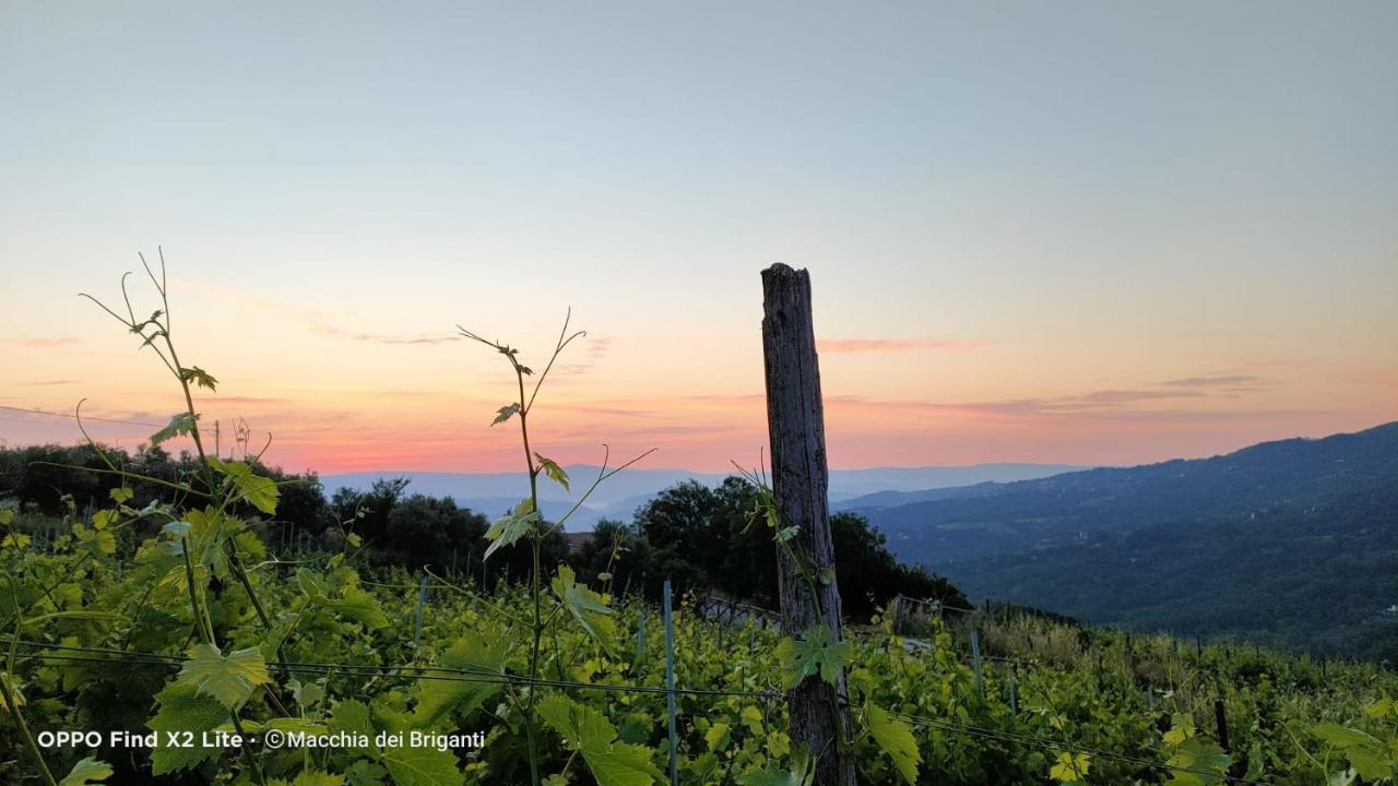 Agriturismo Macchia Dei Briganti - B&B Montefalcione Exteriér fotografie
