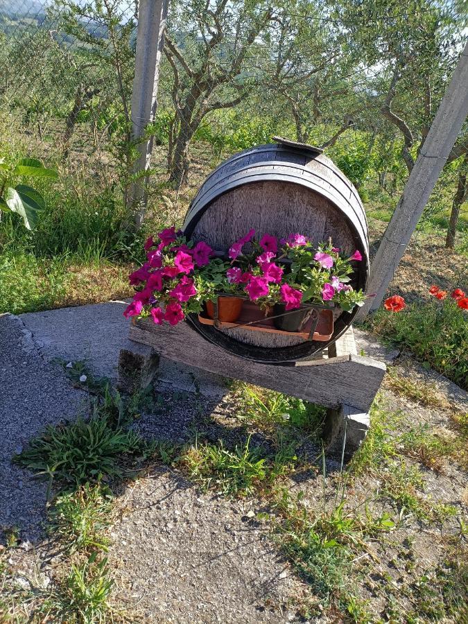 Agriturismo Macchia Dei Briganti - B&B Montefalcione Exteriér fotografie